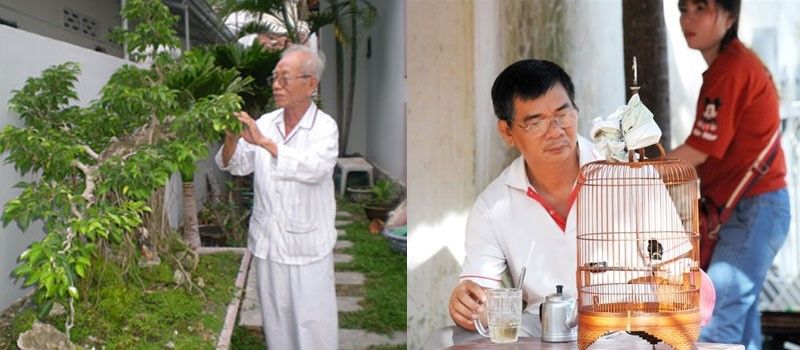 Rối loạn giấc ngủ ở người già do đâu ? chữa trị như thế nào ?