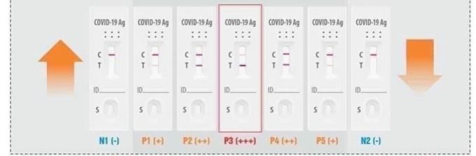 Xét nghiệm nhanh Covid-19 có biết tải lượng virus?