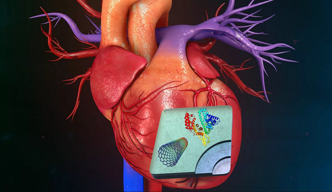 Công nghệ mRNA có thể giúp điều trị bệnh đau tim