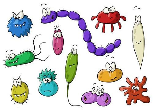 Khi nào cần thực hiện xét nghiệm ký sinh trùng?