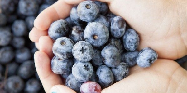 [Infographic] Người bị suy giãn tĩnh mạch nên ăn gì?