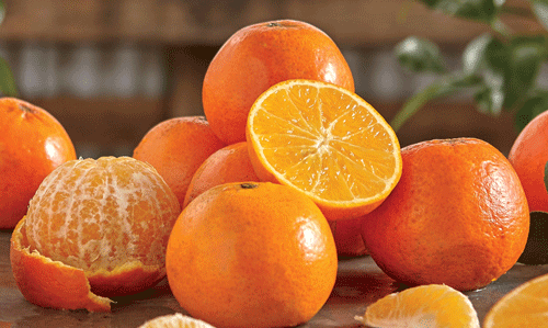  8 loại thực phẩm giúp những người hay quên cải thiện trí nhớ