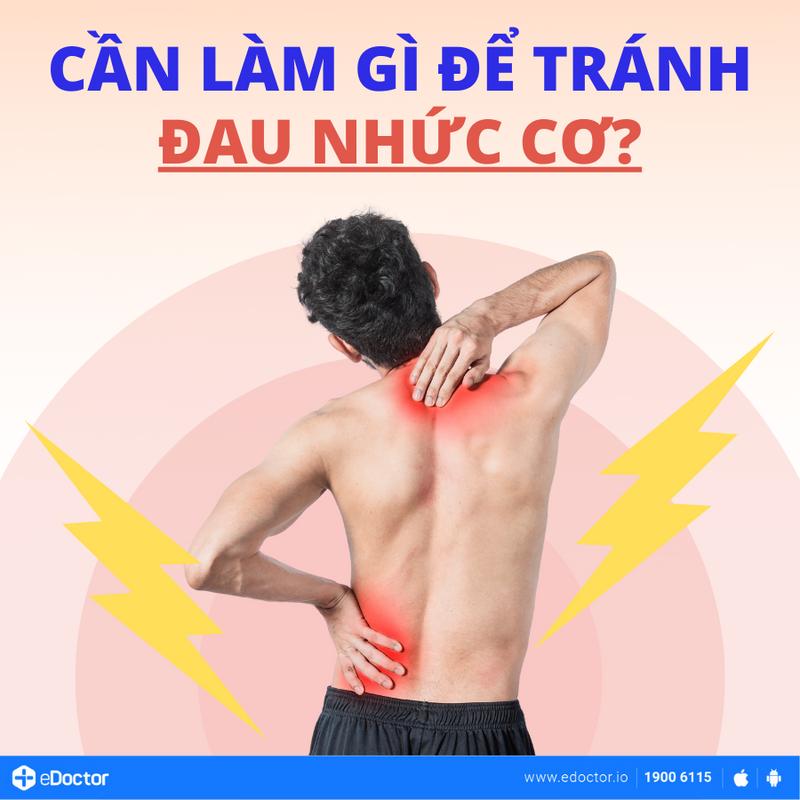 Cần làm gì để tránh đau nhức cơ?