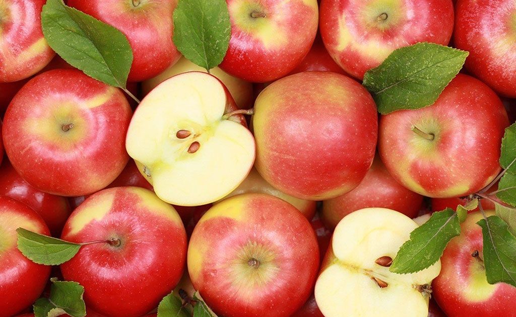 Những loại trái cây có công dụng tuyệt vời trong việc chăm sóc mái tóc