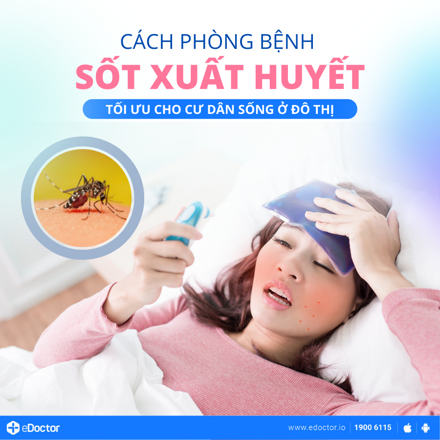 Cách phòng bệnh sốt xuất huyết tối ưu cho cư dân sống ở đô thị
